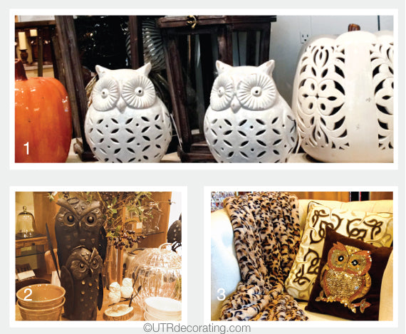 The Owl Trend is Still Strong… Hoo Knew?